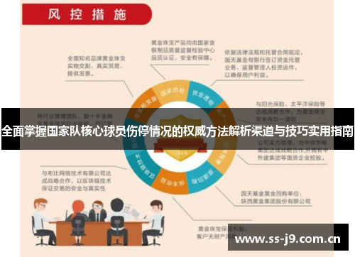 全面掌握国家队核心球员伤停情况的权威方法解析渠道与技巧实用指南